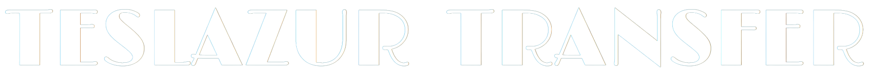 logo teslazur